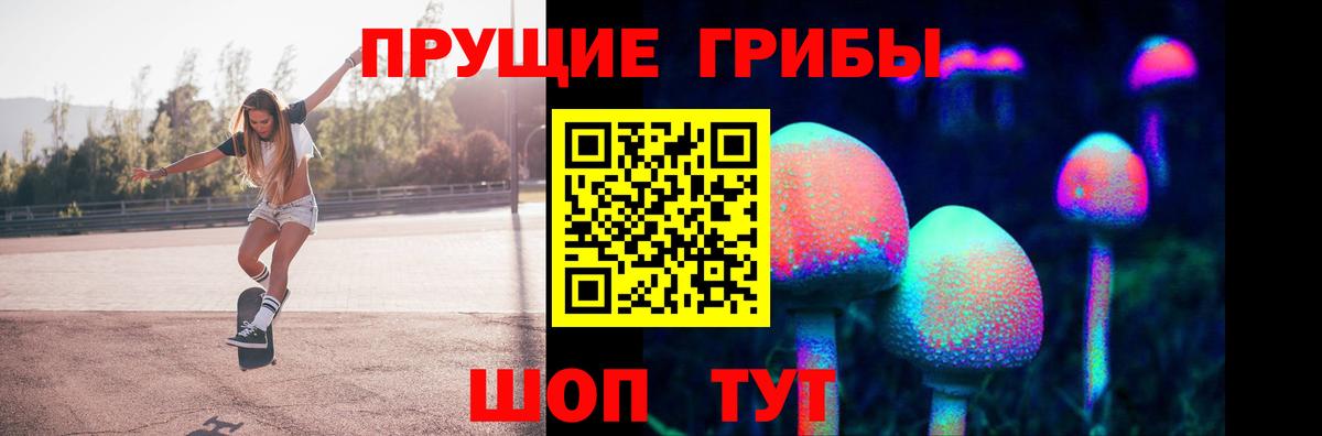 Псилоцибиновые грибы ЛСД Югорск