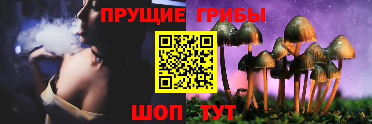магазин продажи наркотиков  Вход с VPN  Югорск  Псилоцибиновые грибы мицелий 